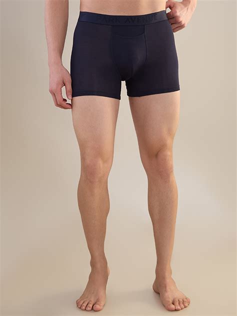 Park Avenue Men Blue Modal Blend Trunk – MyRaymond