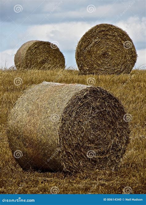 Hay Bales stock photo. Image of angles, normandy, france - 80614340