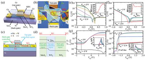Recent Excellent Optoelectronic Applications Based on Two-Dimensional ...