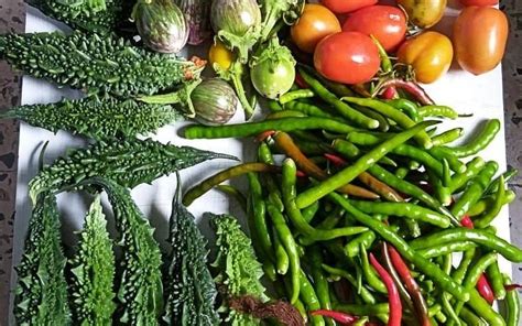 From Sugarcane To Fruits And Veggies, This Home Gardener In Pune Is ...