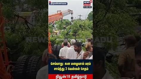 Rain | செய்யாறு: கன மழையால் மரம் சாய்ந்து 3 வேன்கள் சேதம் | Trees ...