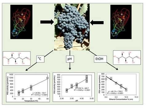 Evaluation of Macerating Pectinase Enzyme Activity under Various ...