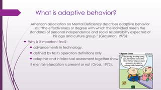 Image result for Adaptive Behavior Scale