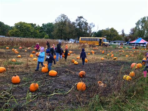 Mrs. Nelson's News: Pumpkin Patch