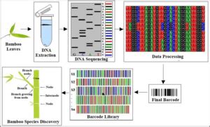 Image result for DNA Barcoding Methods