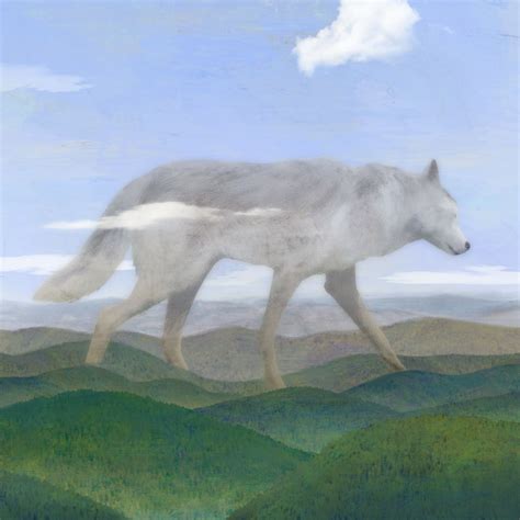Name Yosemite Wolf Yellowstone: A Journey Through America's Wild Heart