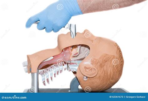 Intubation of an Unconscious Patient Stock Image - Image of cardiopulmonary, hospital: 62361673