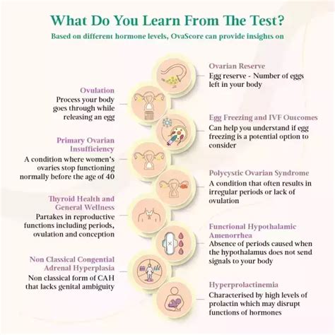 Image result for Ovary Function Test