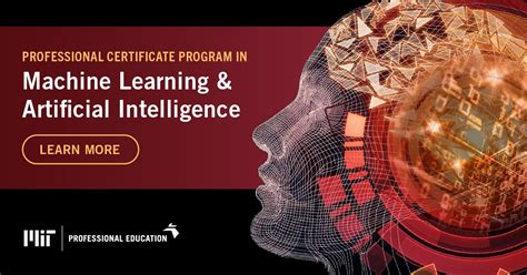 Advanced Machine Learning MIT Course 的图像结果