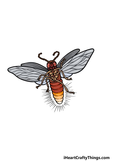 Simple Firefly Drawing