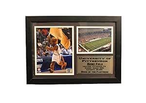 Encore NCAA University of Pittsburgh 12x18 Framed ROC The Panther and ...