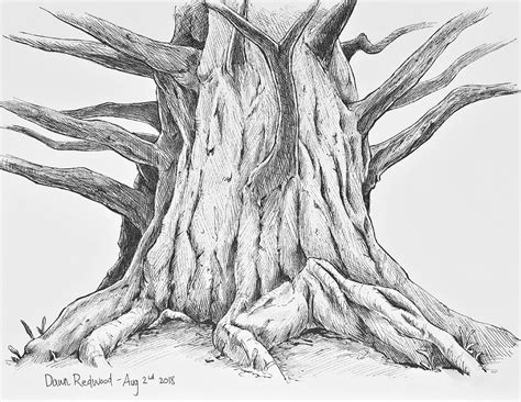 Sketching Tree Limbs 的图像结果