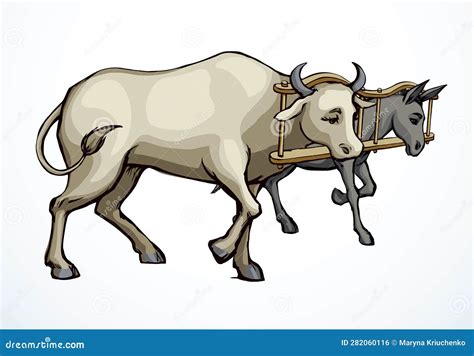 Define Yoke Of Oxen Clipart