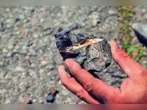 Govt working on steps to improve supply of rare earth minerals: Piyush ...