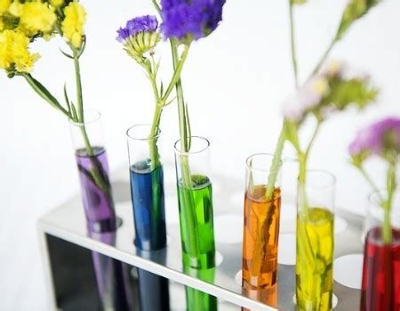 Bio-Based Succinic Acid Market Huge Growth and Demand (2019-2026 ...