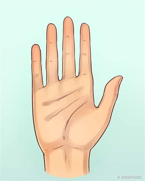 Image result for Genetics in Hand Shape