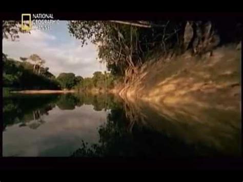 BBC纪录片《地球伟大河流》：亚马逊河_新浪新闻