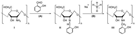 Reduced Chitosan as a Strategy for Removing Copper Ions from Water