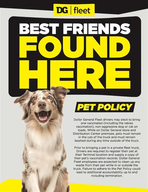 Dollar General Jobs Salary - Surveys Hyatt