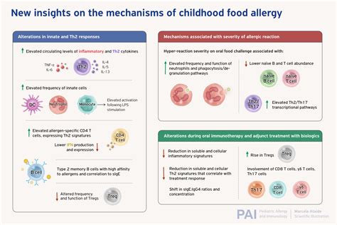 New insights into the mechanisms of childhood food allergies - Gubbels ...
