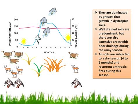 Carbon Sequestration Potential in the Savannas Ecosystems of Venezuela | PPT