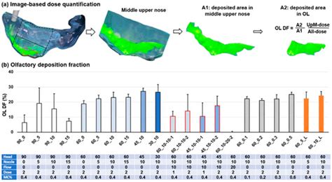 Visualization and Estimation of Nasal Spray Delivery to Olfactory ...