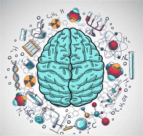 Las principales ramas de la psicología - The Brain Blog