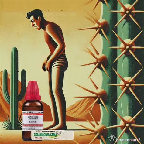 PileOff Homeopathy Kit for Hemorrhoid Relief | Doctor-Recommended ...