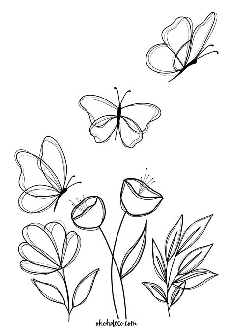 Image result for Butterfly Coloring