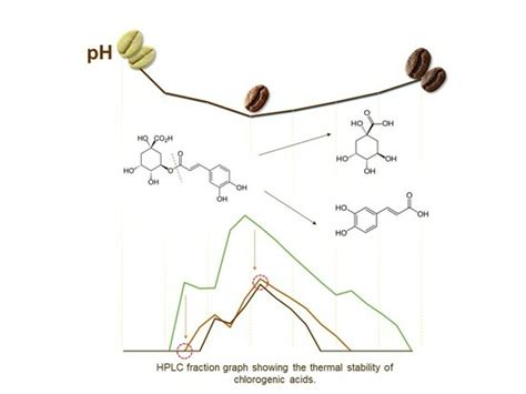 Alterations in pH of Coffee Bean Extract and Properties of Chlorogenic ...