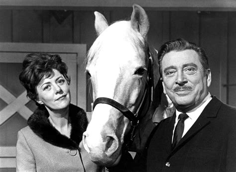 Mister Ed - Full Cast & Crew - TV Guide