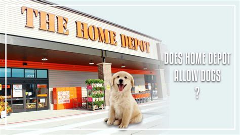 Are Dogs Allowed In Home Depot? The Official 2026 Pet Policy