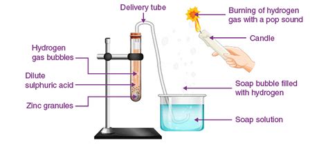 Overview Acids, Bases and Salts - Science Class 10 PDF Download