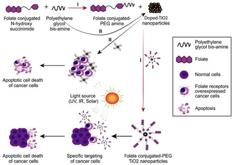 Progress in Clinical Trials of Photodynamic Therapy for Solid Tumors ...