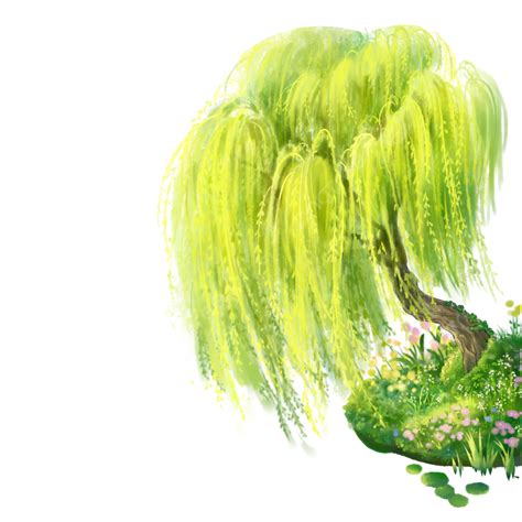 Spring Plant Weeping Willow, Spring, Plant, Weeping Willow PNG ...