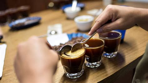 Coffee Cupping Machine 的图像结果