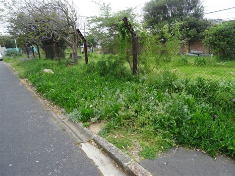 Communitree - Garden Maintenance at Ryan road Park