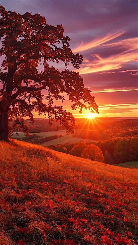 Best 12 Top 17 Outdoor Activities in Virginia for Nature Lovers – Artofit