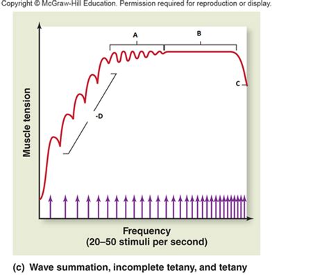 Image result for Frequency Tension Graph