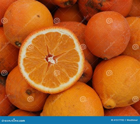Minneola Tangelo, Citrus X Tangelo Minneola Tangelo Stock Photo - Image ...