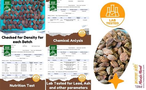 Masala Mundi Black Cardamom Jumbo Pods | Black Cardamom Pods | Large ...