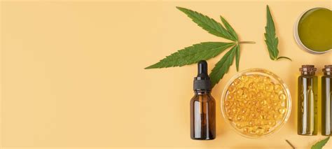 Manasvi Homeopathy Kalyani Nagar Pune | Mind-Based Holistic Homeopathy