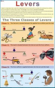Lever Chart Paper Print - Educational posters in India - Buy art, film ...