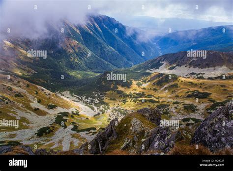 Image result for Timber Line