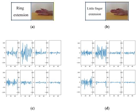 Hand Gesture Recognition Using Compact CNN via Surface Electromyography ...