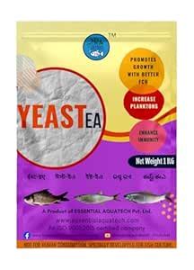 Buy YEAST EA for Aquaculture or Fish Ponds. Net Weight 1 KG. Promotes ...
