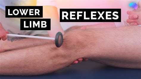 Image result for Contralateral Limb Reflex