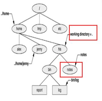 Absolute Path Linux 的图像结果
