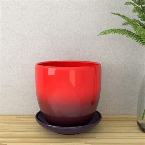 Buy Cairo-Planter Printed Creamic Floor Table Planter With Saucer ...