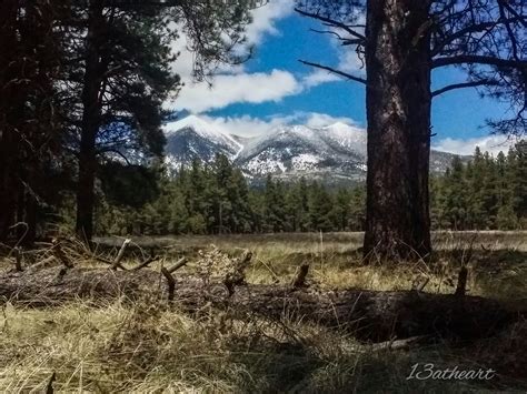 Flagstaff Az Elevation at Adriana Fishburn blog